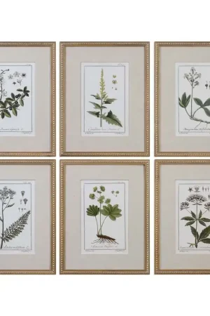 Uttermost Green Floral Botanical Study Prints S/6 Holiday Sale