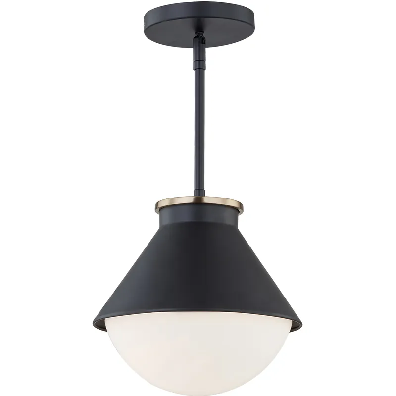 Fusion Collection 1 Light 10 inch Matte Black with Brass Ring Outdoor Pendant, Ravelle Family High Quality