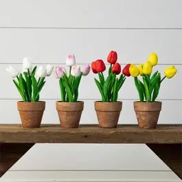 Clearance 4 Piece Assorted Potted Tulips Collection